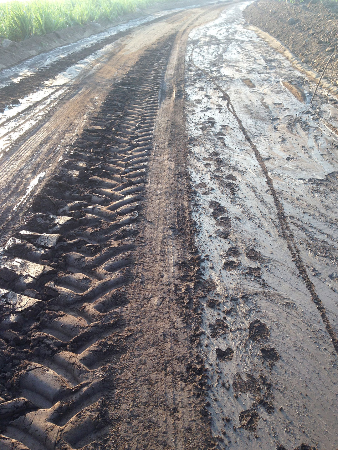 Unsealed muddy road