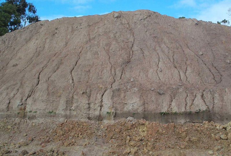 Slope with soil erosion