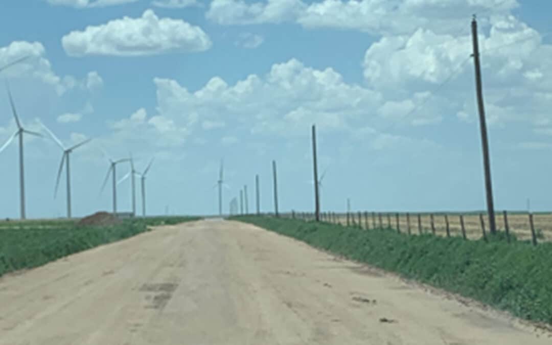 Case Study: Wind Farm Temporary Road Construction using a Topical Treatment