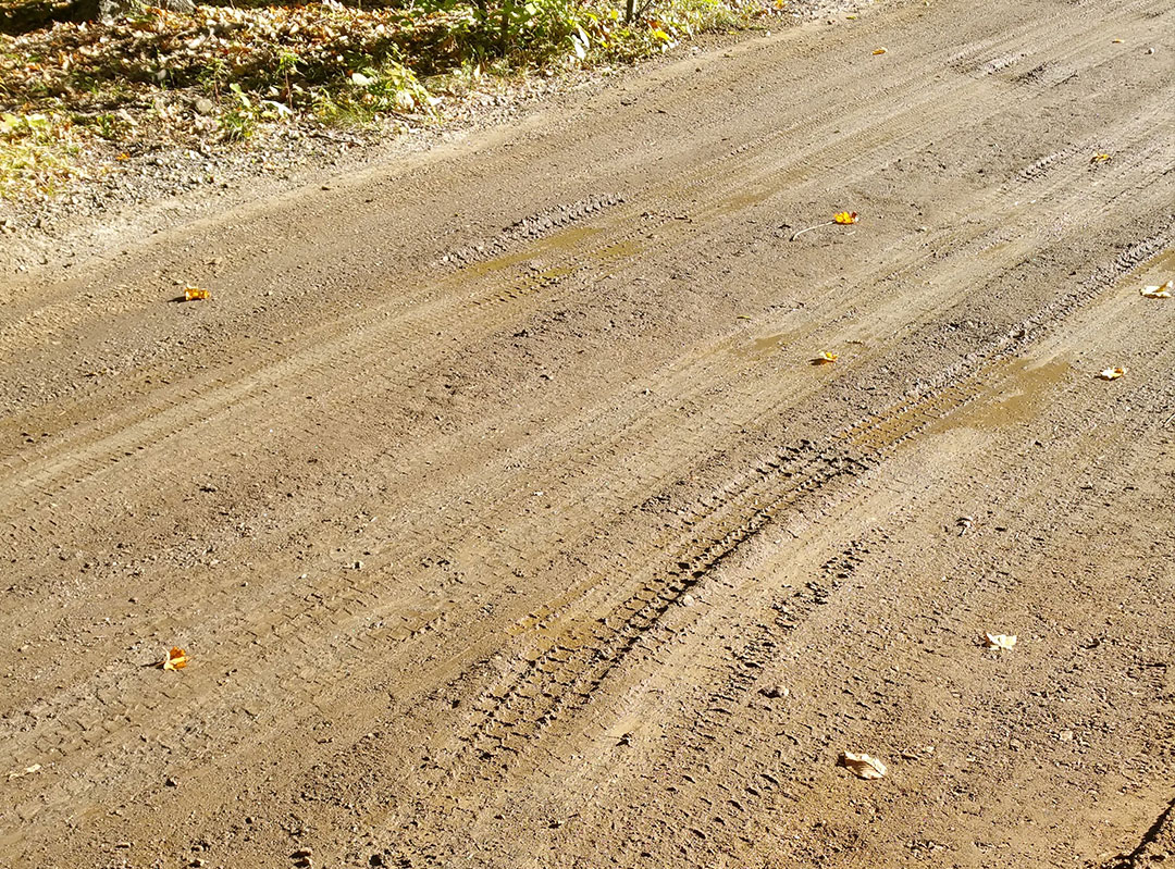 Forest firebreak that has been topically treated with RoadMaster