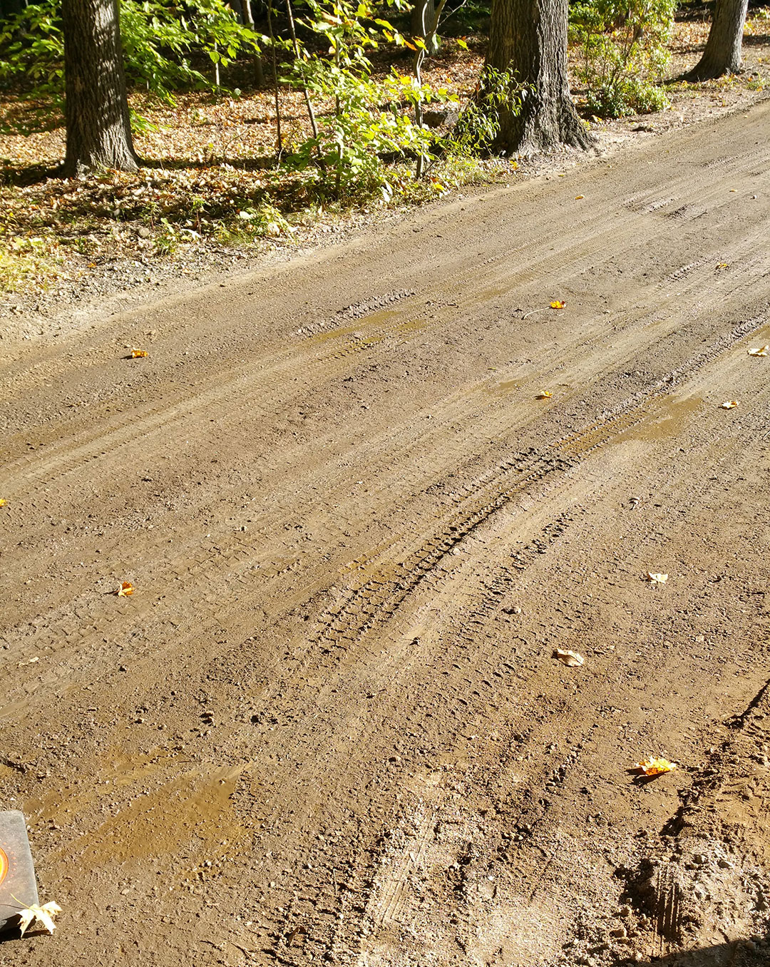 Forest firebreak that has been topically treated with RoadMaster