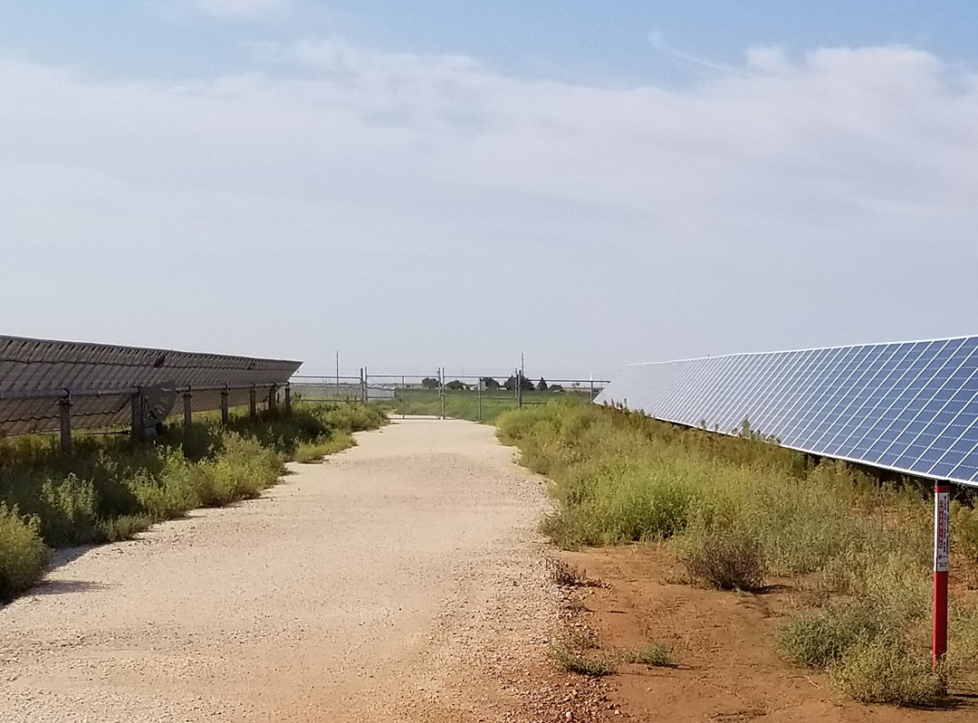 solar farm panels with AggreDust dust control