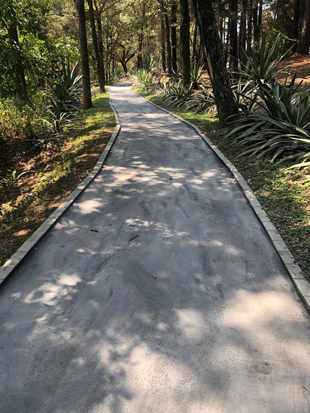 AggreCrete concrete walking path with pre-cast concrete and AggreCrete blocks for border